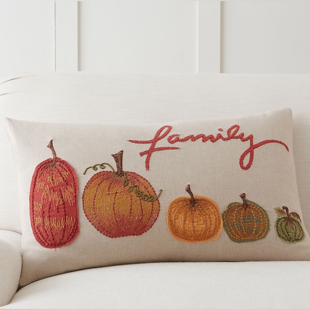 POTTERY BARN Pumpkin Pillow Cover 16x26”